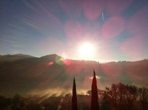 14 gennaio 2011, ore 8 e 51