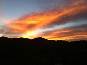 1° febbraio 2011, ore 7 e 17 