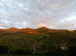 21 aprile 2012, ore 19 e 48