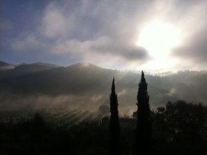 Il 18 dicembre, alle ore 9 e 5