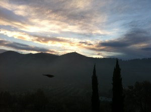 22 dicembre, ore 7 e 53. Con tanto di uccello (cornacchia? gazza?) beccato al volo in primo piano