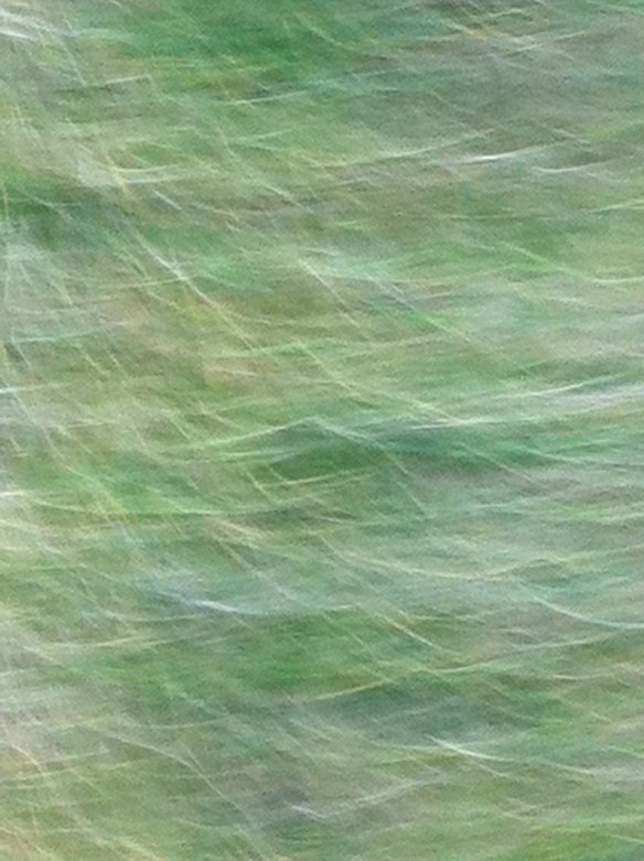 Nel prato batte un cuore, 2005-2012