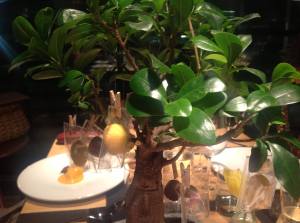 1490633_699374766753933_269940424_o