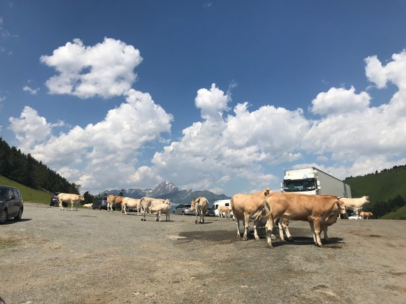 D751FBC4-E433-451E-9B8B-EED61E916766