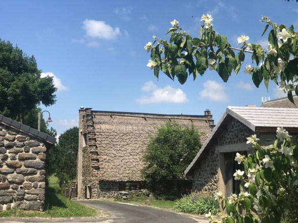 D882595C-116B-47CA-896B-E5ACE79D942D