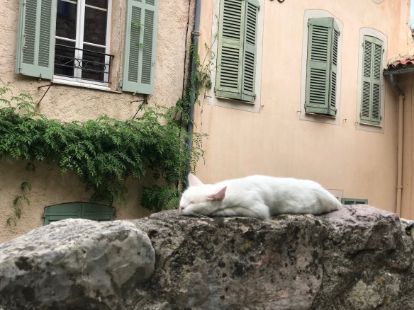 DAAC3078-E4CE-43A2-809E-C853D278AB67