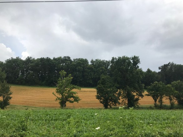 EB0915C6-D1AF-42D0-AC52-FD6A3C45C5F1