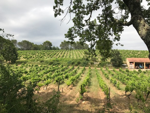 FDE3A80B-A8F2-4410-9316-3DE5185B1A8D