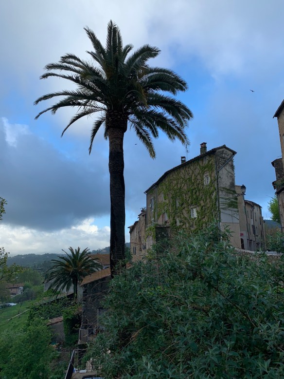 38B5D1ED-8B16-4A83-BFA9-BE7DFBCE808B