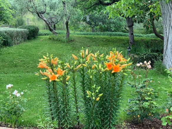 010569E3-A88C-4734-8669-F6B97F447E26