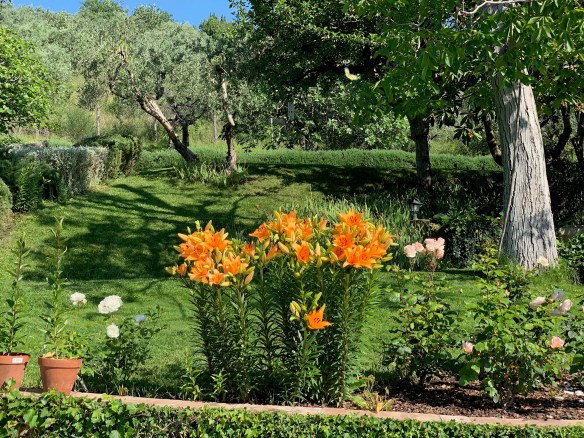 1B9CC586-AD65-4B46-BE96-8C64F55107C3