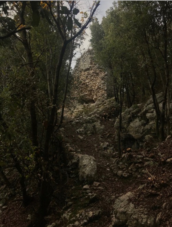 Schermata 2020-05-28 alle 18.17.22